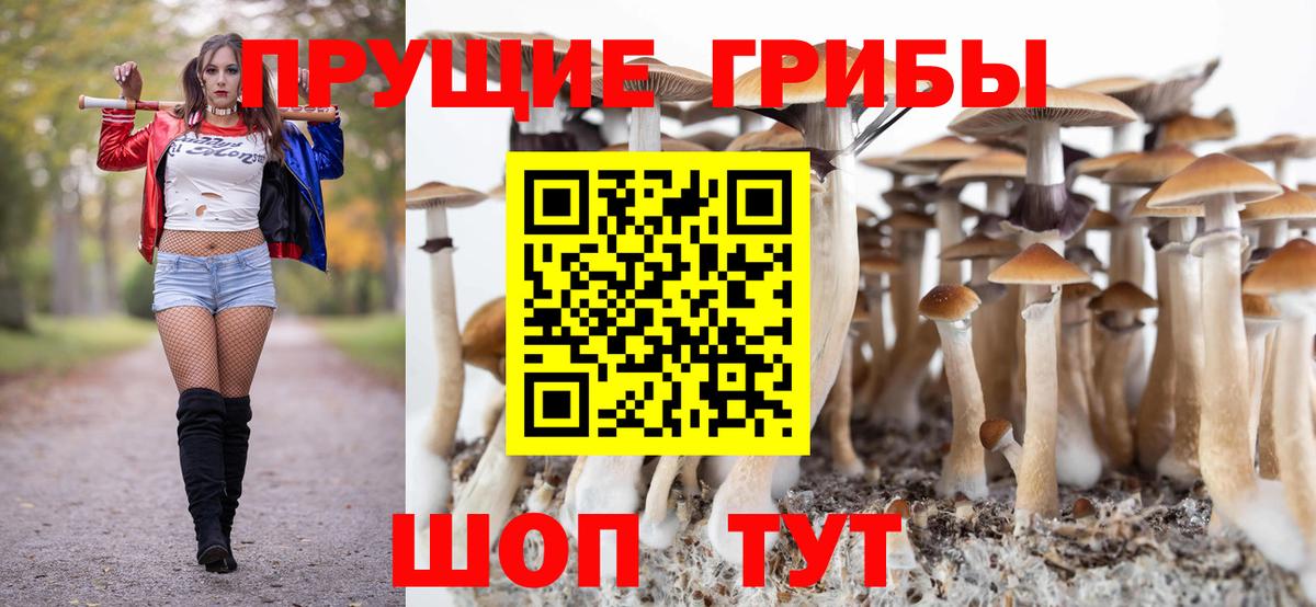 Псилоцибиновые грибы прущие грибы  Вход с VPN  Псилоцибиновые грибы Cubensis  Кашира 